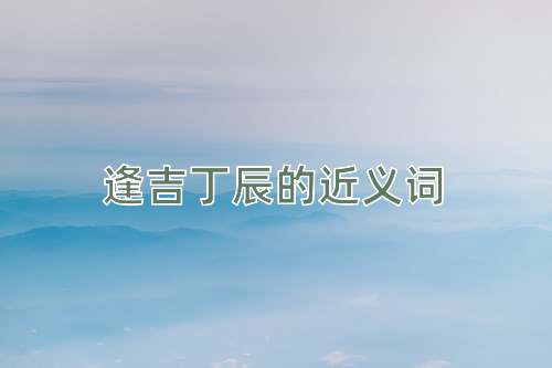 逢吉丁辰的近义词