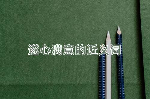 遂心满意的近义词