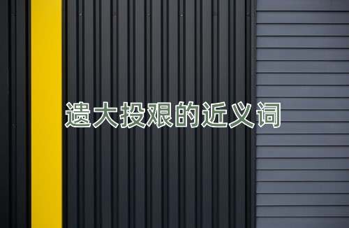 遗大投艰的近义词