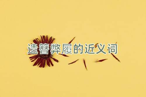 遗簪弊履的近义词