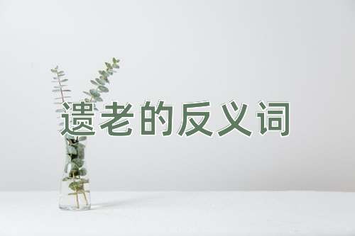 遗老的反义词