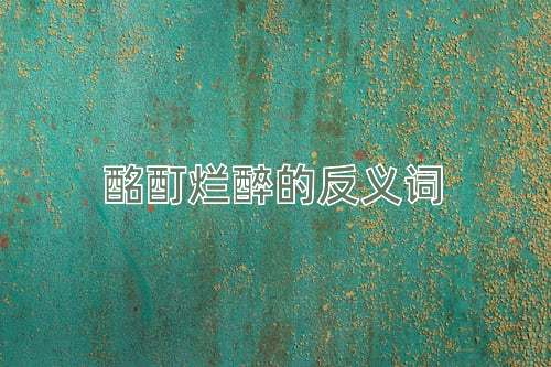 酩酊烂醉的反义词
