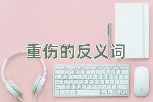 重伤的反义词