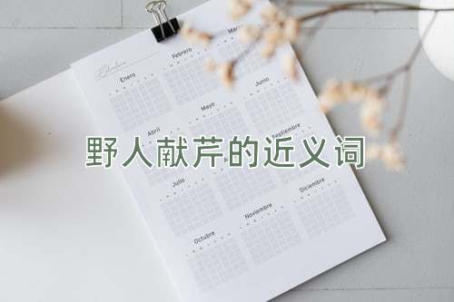 野人献芹的近义词