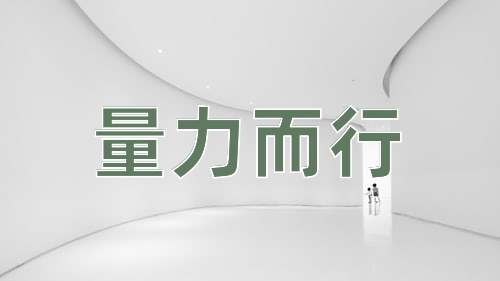 成语量力而行