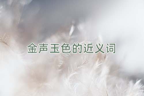 金声玉色的近义词