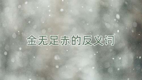 金无足赤的反义词