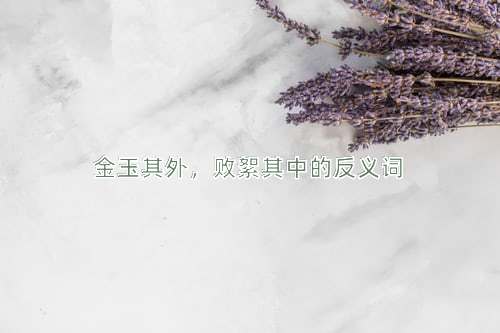 金玉其外，败絮其中的反义词
