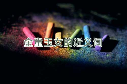 金童玉女的近义词