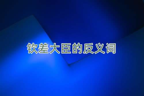钦差大臣的反义词