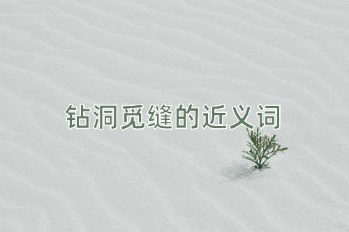 钻洞觅缝的近义词
