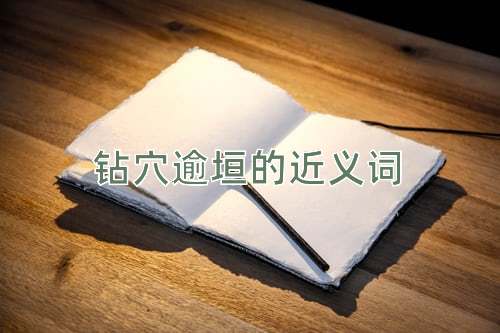钻穴逾垣的近义词