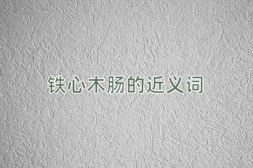 铁心木肠的近义词