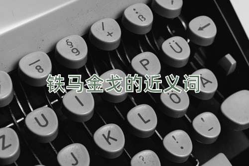 铁马金戈的近义词