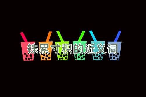 铢累寸积的近义词
