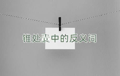 锥处囊中的反义词