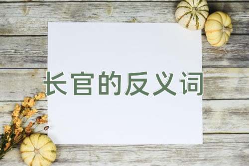 长官的反义词