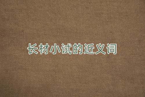 长材小试的近义词