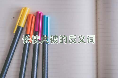 长枕大被的反义词