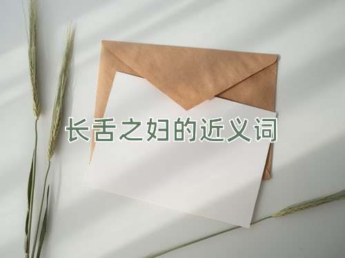 长舌之妇的近义词