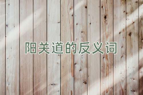阳关道的反义词