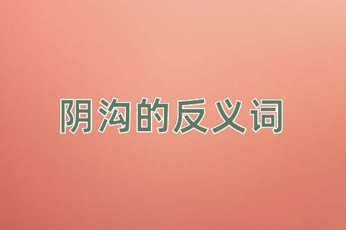 阴沟的反义词