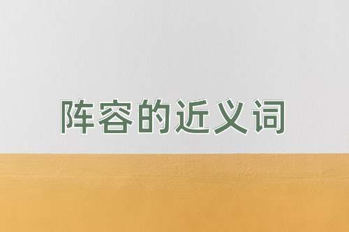 阵容的近义词