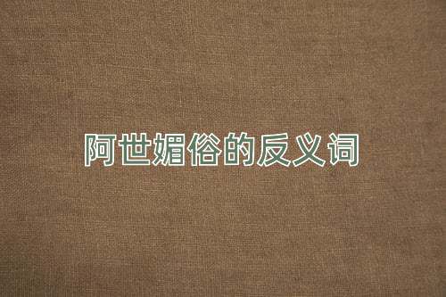 阿世媚俗的反义词
