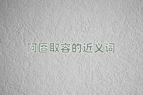 阿匼取容的近义词