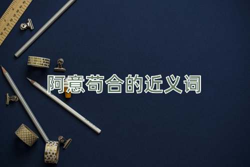 阿意苟合的近义词