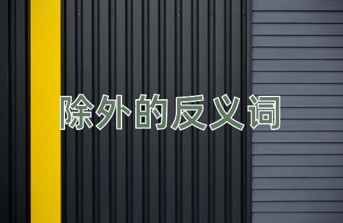 除外的反义词