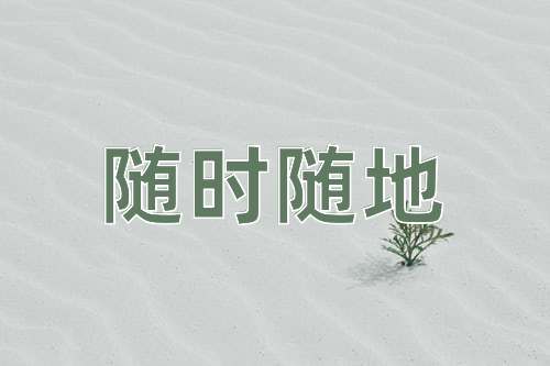 成语随时随地