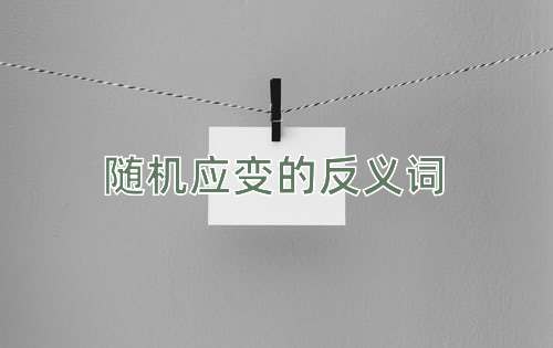 随机应变的反义词