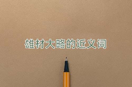 雄材大略的近义词