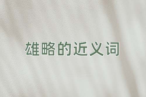 雄略的近义词