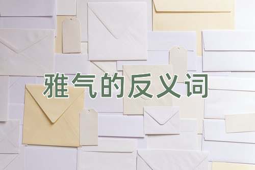 雅气的反义词