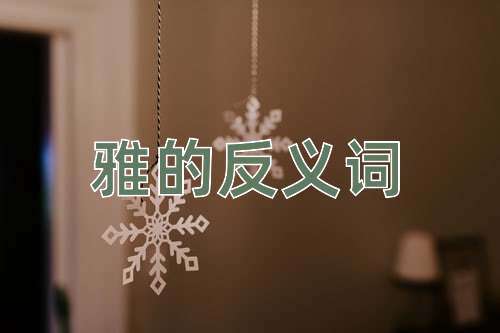 雅的反义词