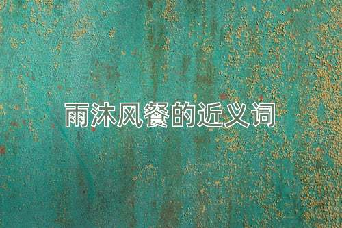 雨沐风餐的近义词