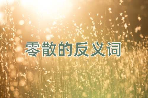 零散的反义词