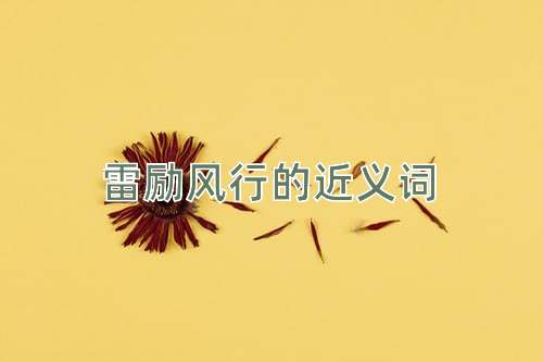 雷励风行的近义词