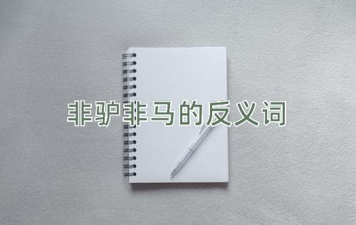 非驴非马的反义词