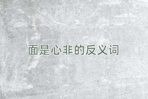 面是心非的反义词