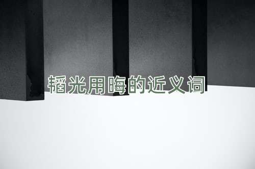 韬光用晦的近义词