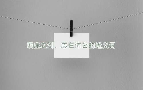 项庄之剑，志在沛公的近义词
