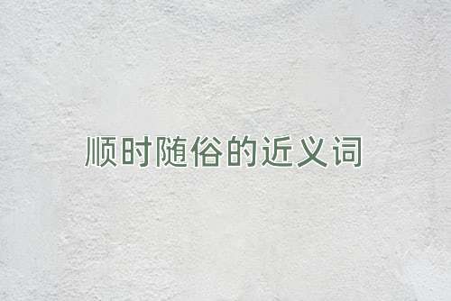 顺时随俗的近义词