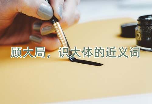 顾大局，识大体的近义词