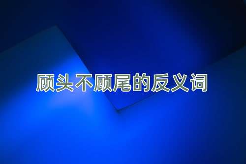 顾头不顾尾的反义词