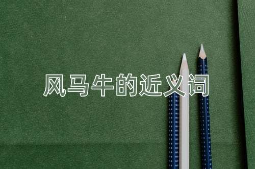 风马牛的近义词