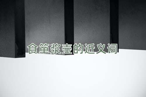 食箪浆壶的近义词