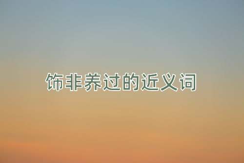 饰非养过的近义词